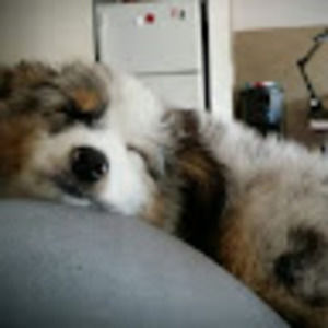 Meet your Posher, Alexandra